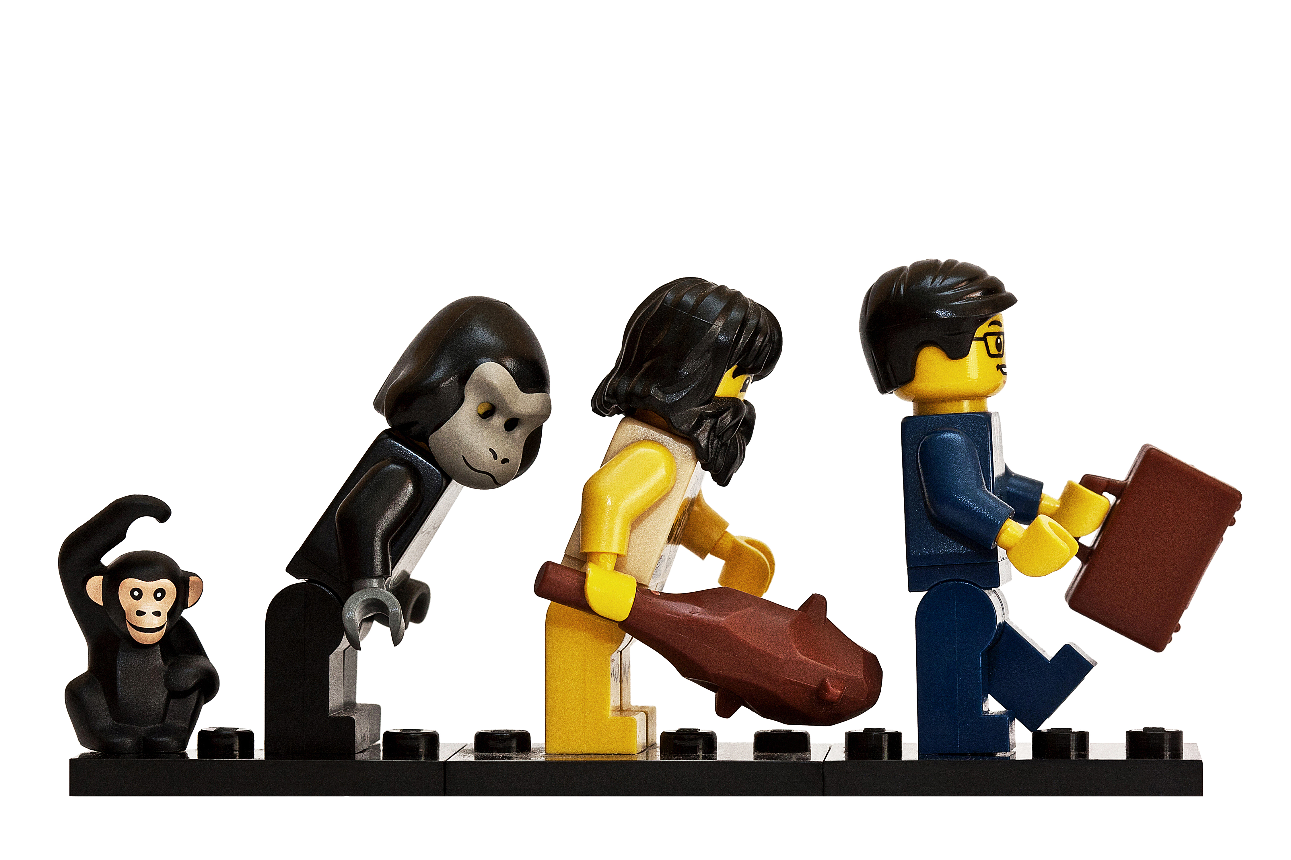 LEGO Эволюция